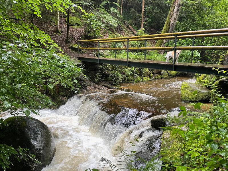 Spaziergang zum Geroldsauer Wasserfall am 8.7.2021